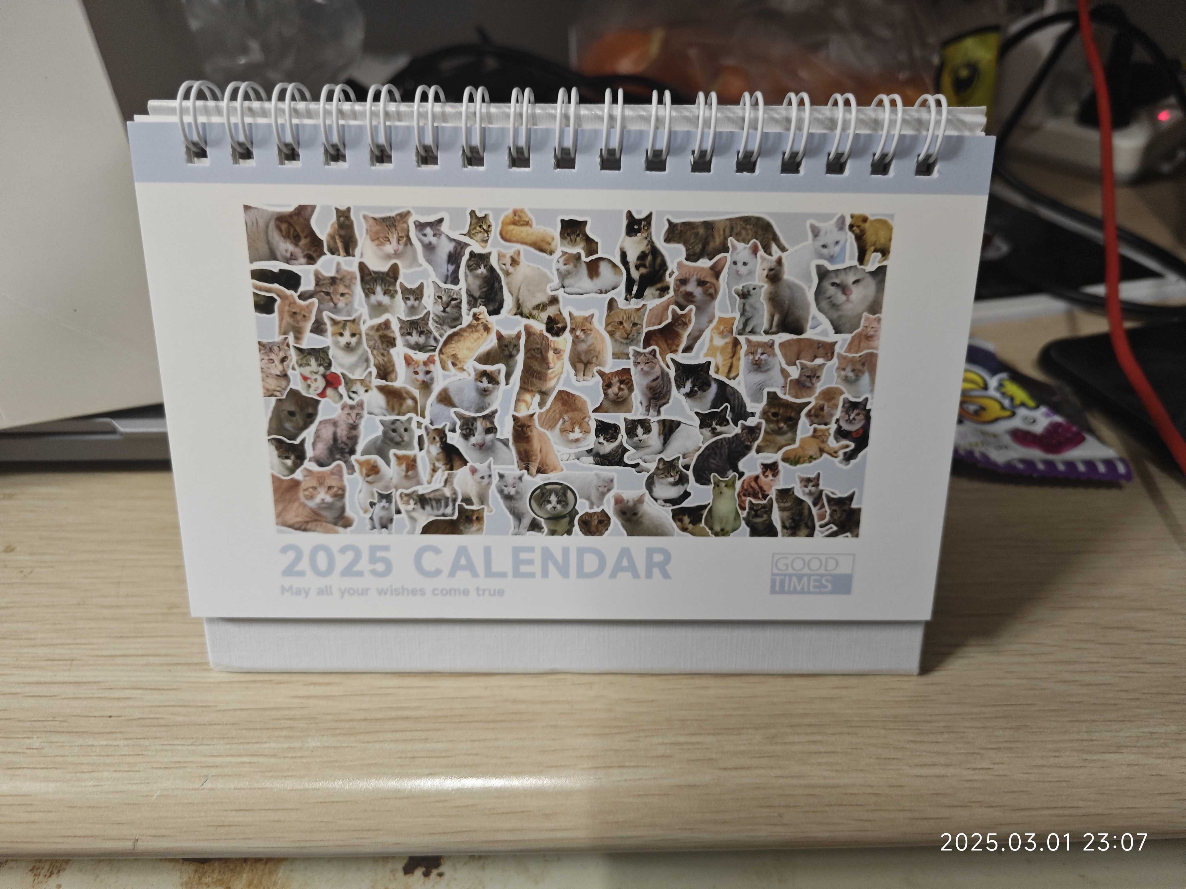 猫猫日历首页 猫猫日历首页