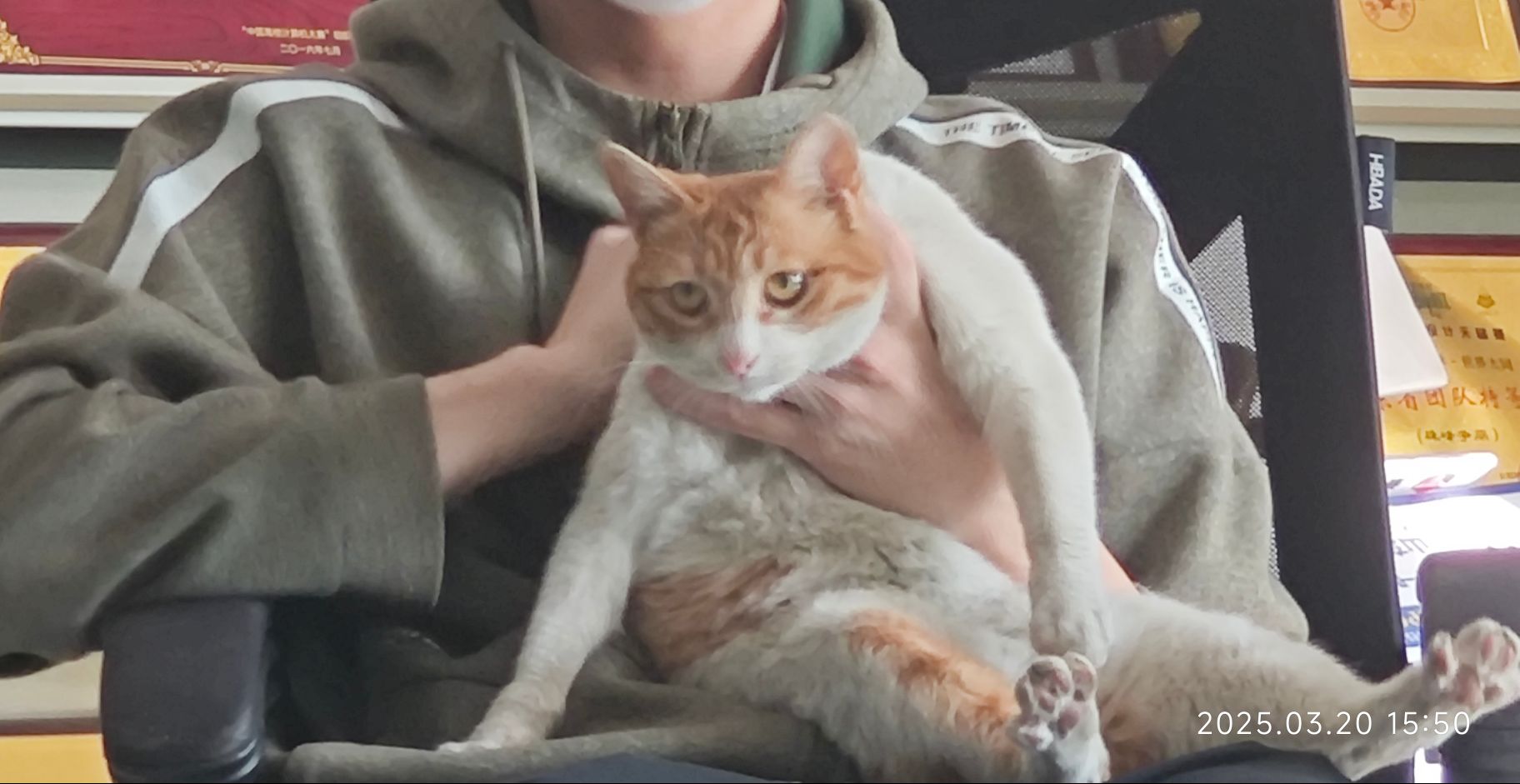 偷偷溜进来的院长被吴老师一只手擒拿 偷偷溜进来的院长被吴老师一只手擒拿