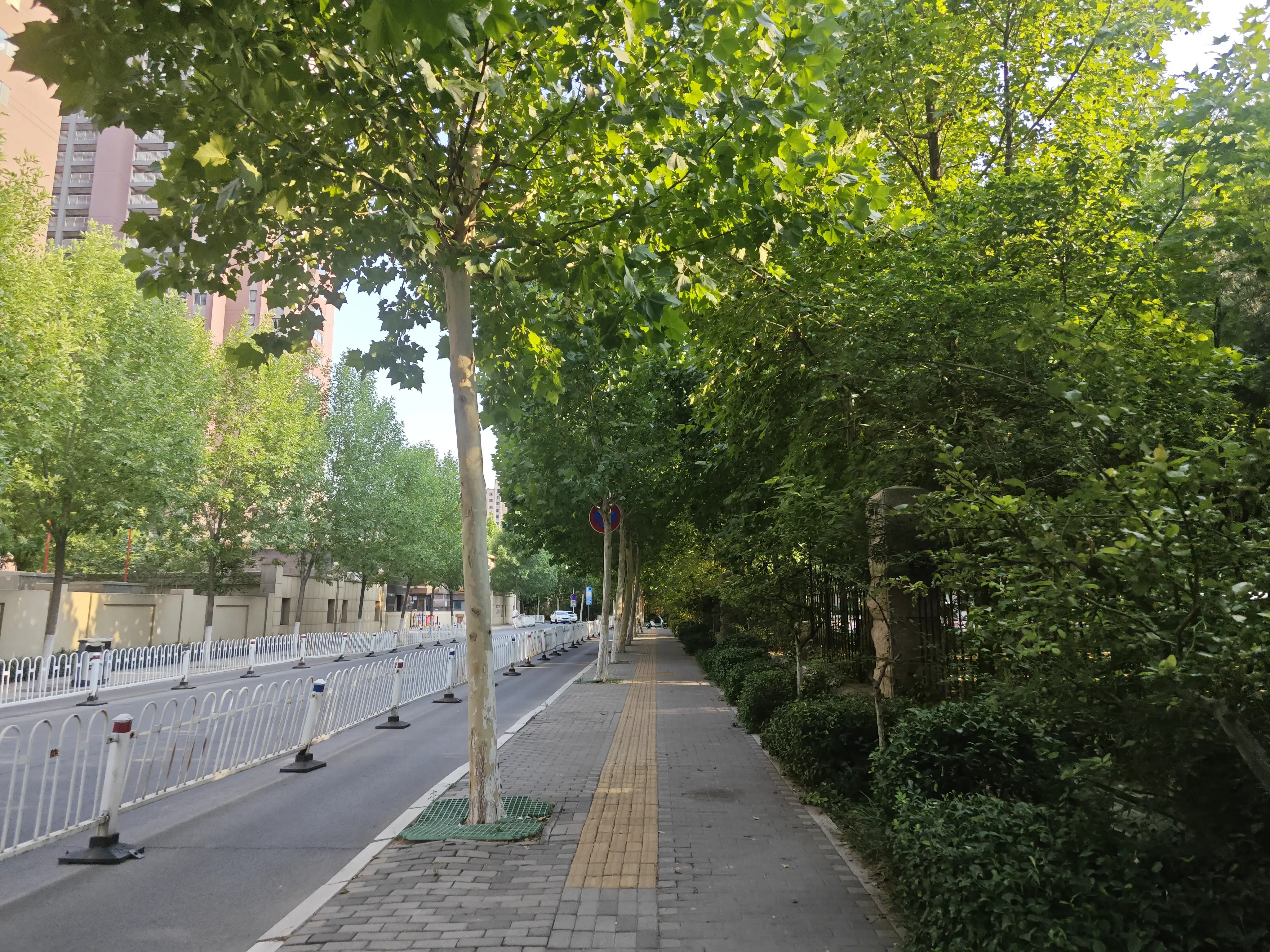 回去的路上 回去的路上