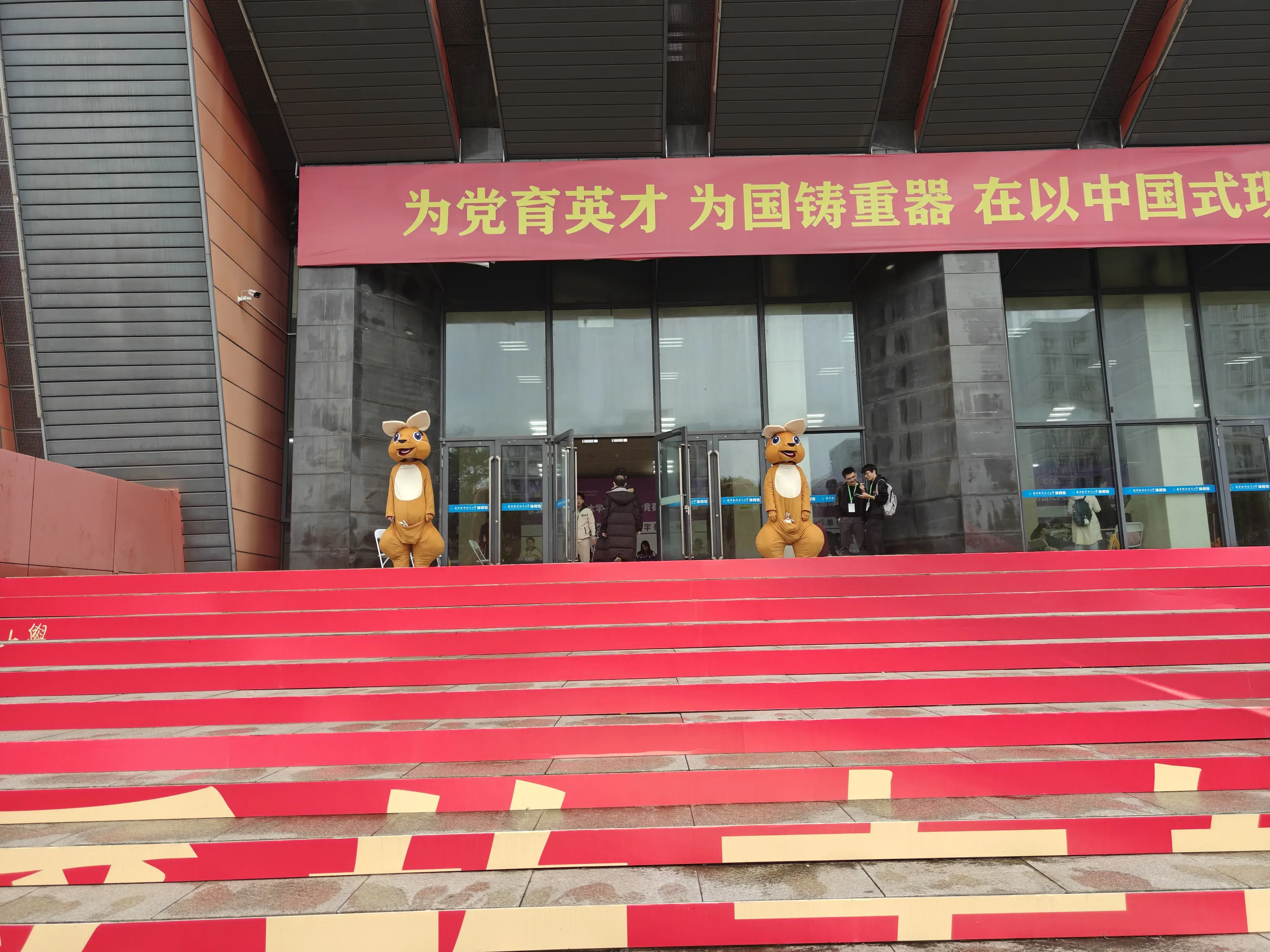 南京特色——袋鼠 南京特色——袋鼠