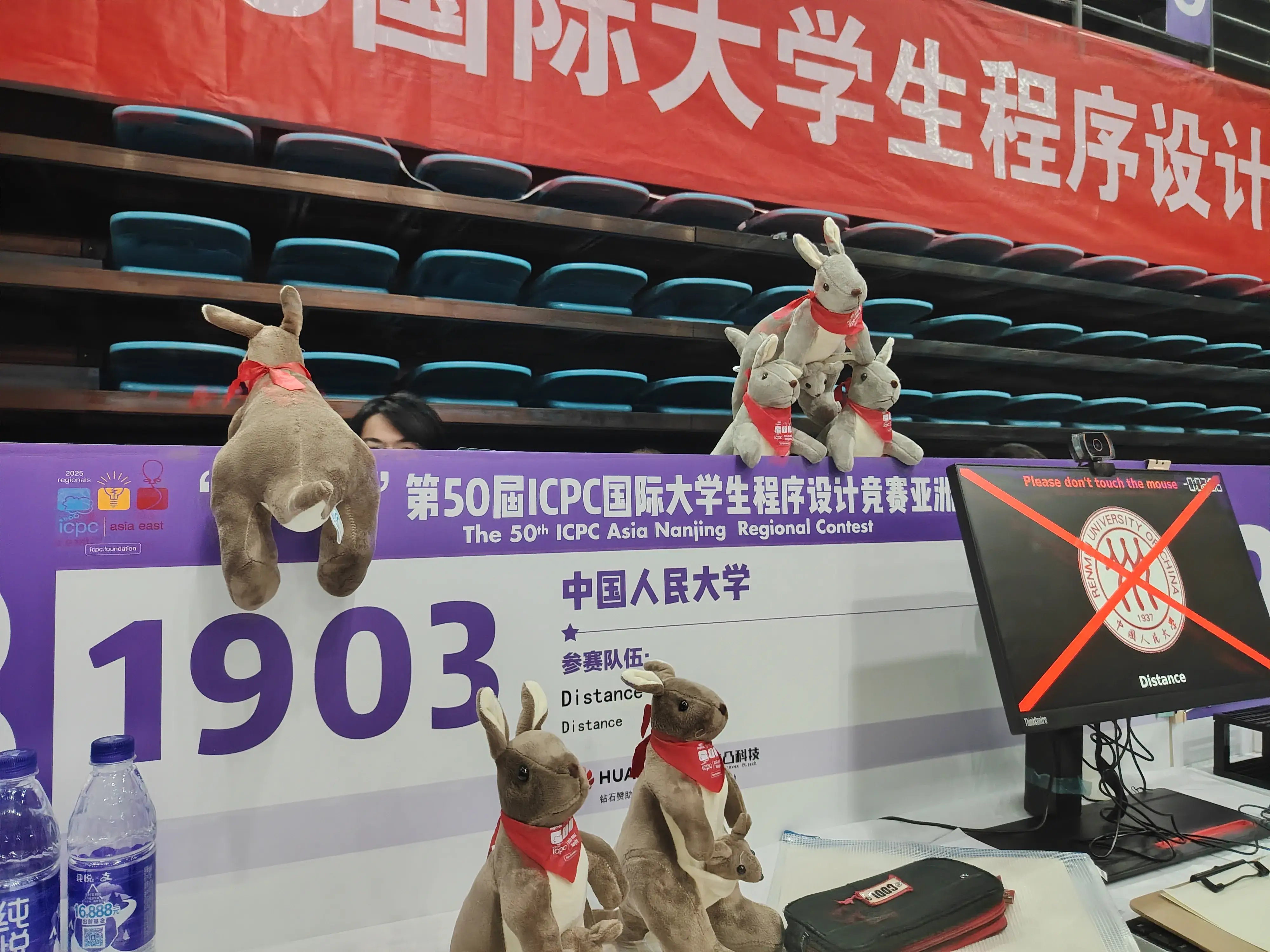 袋鼠在看着你 袋鼠在看着你