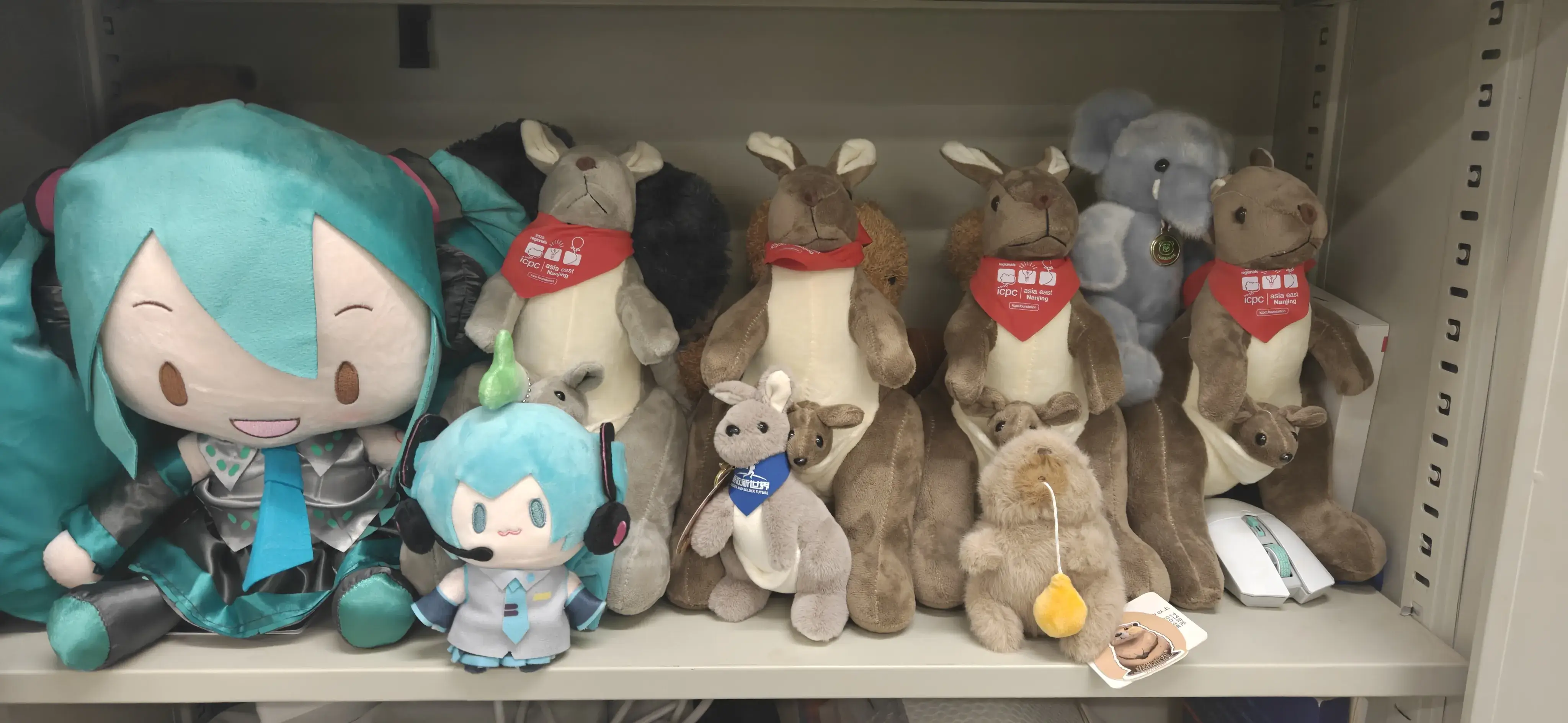 各个赛站的伴手礼 各个赛站的伴手礼