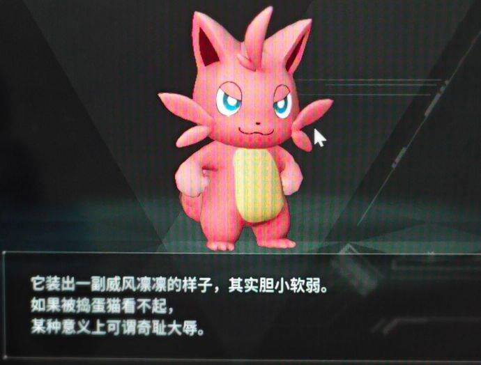 捣蛋猫